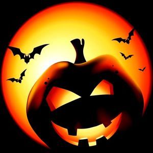 Meet your Posher, Tarra